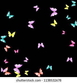 Summer Background with Colorful Butterflies. Simple Feminine Pattern for Card, Invitation, Print. Trendy Decoration with Beautiful Butterfly Silhouettes. Vector Background with Moth
