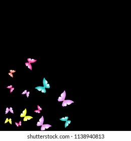 Summer Background with Colorful Butterflies. Simple Feminine Pattern for Card, Invitation, Print. Trendy Decoration with Beautiful Butterfly Silhouettes. Vector Background with Moth
