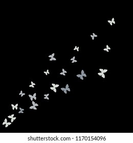 Summer Background with Colorful Butterflies. Simple Feminine Pattern for Card, Invitation, Print. Trendy Decoration with Beautiful Butterfly Silhouettes. Vector Background with Moth
