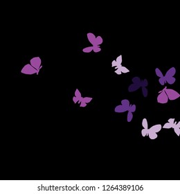 Summer Background with Colorful Butterflies. Simple Feminine Pattern for Card, Invitation, Print. Trendy Decoration with Beautiful Butterfly Silhouettes. Vector Background with Moth
