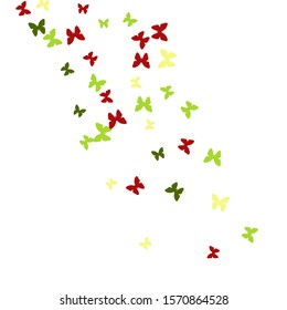 Summer Background with Colorful Butterflies. Simple Feminine Pattern for Card, Invitation, Print. Trendy Decoration with Beautiful Butterfly Silhouettes. Vector Background with Moth
