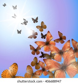 Summer background with colorful butterflies, vector illustration, clip-art