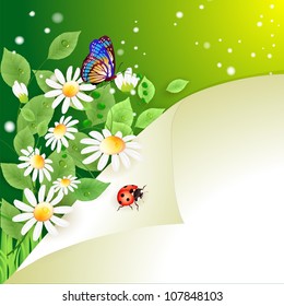 Summer background with daisies