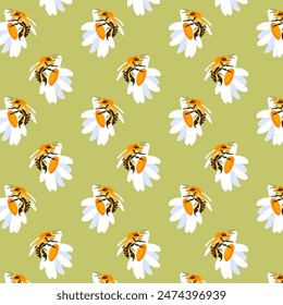 Fondo de verano abeja margarita verde lima patrón sin costuras primavera blanca pradera flor ornamento tela Fondo de pantalla textil mosaico