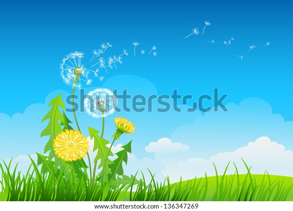 Summer Background Dandelion Stock Vector (Royalty Free) 136347269 ...