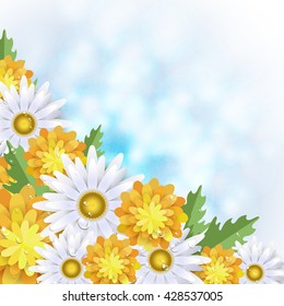 Summer background with dandelions and daisies. Vector illustration