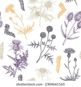 Summer background. Decorative thistle plant texture in sketch style. Hand-drawn wildflowers seamless pattern. Dried plants and caterpillars drawing floral designs for textiles, fabric, wrapping paper