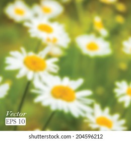 Summer background. Defocused landscape.