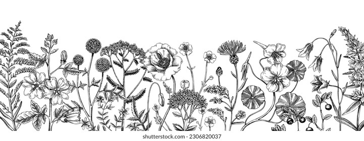 Fondo de verano con flores de campo en estilo de sketch. Borde vintage de flores silvestres dibujadas a mano. Hierbas, praderas, plantas de flores ilustraciones vectoriales. Diseño floral para banner, web, embalaje, impresión