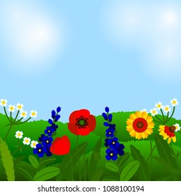 Summer background with field flowers. Vector illustration. Summer flowers design. Meadow landscape.