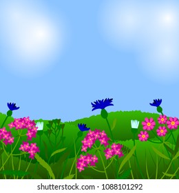 Summer background with field flowers. Vector illustration. Summer flowers design. Meadow landscape.