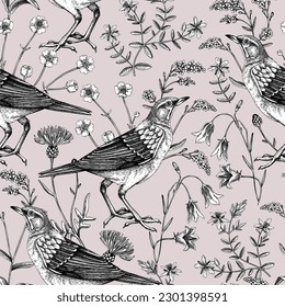 Summer background. Floral seamless pattern. Wildflowers and birds vector illustration in sketch style. Perfect for textile, wrapping paper, packaging, fabrics.