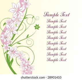 summer background with flowers