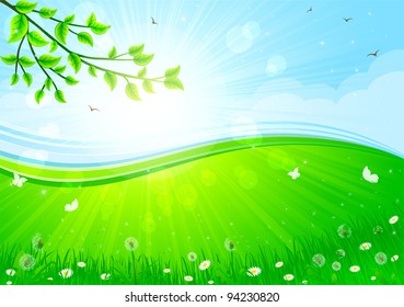 Summer background with flowers, butterflies and birds against a Sunburst, illustration