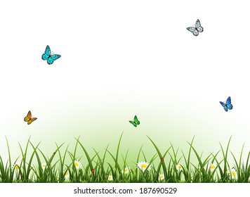 Summer background with flowers butterflies and ladybugs, illustration.