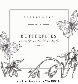 Summer background with flowers and butterflies. Vector illustration. Black and white. Acidanthera flowers.