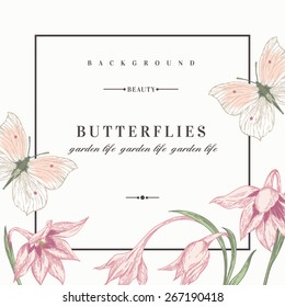 Summer background with flowers and butterflies. Vector illustration. Black and white. Acidanthera flowers.