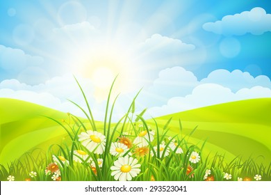 Summer Background Flowers Grass Field Sky Stock Vector (Royalty Free ...