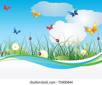 Summer background with flowers and sky