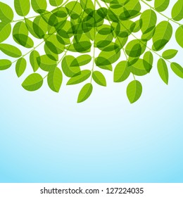 Summer Background with foliage. Vector illustration.