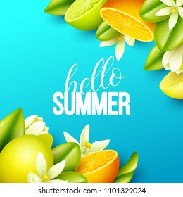 Summer background with fruits. Vector illustration.