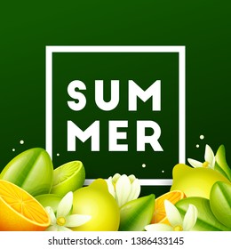 Summer background with fruits. Vector illustration.