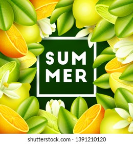 Summer background with fruits. Vector illustration.
