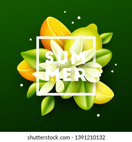 Summer background with fruits. Vector illustration.