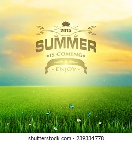 Summer Background With Grass, Flower And Butterflies And Title Inscription