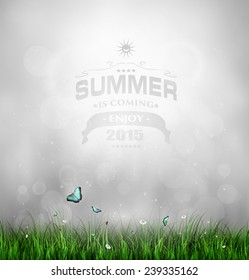 Summer Background With Grass, Flower And Butterflies And Title Inscription