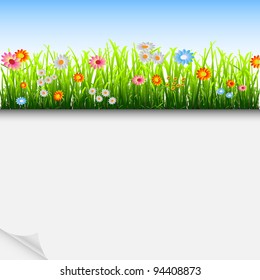 Summer  background with grass and flowers.Vector eps10