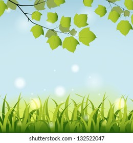 Summer background with grass and maple tree branch.