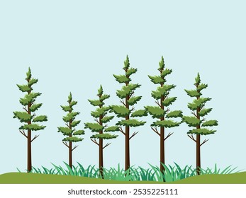 Fondo de verano con pinos verdes del bosque que crecen en prado verde herboso. Vector sobre un fondo azul