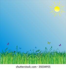 Summer background with green grass