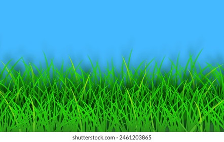 Summer background with green grass. Vector background