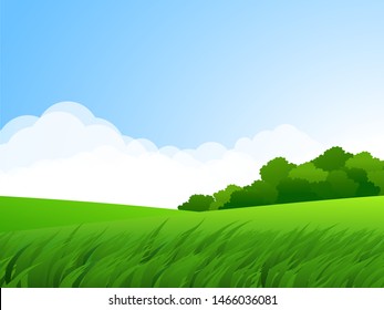 summer background with green grassland 