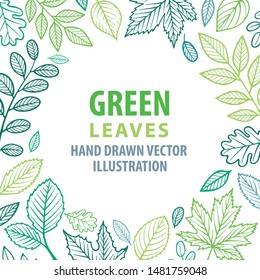 Summer background. Green leafs vector illustration. Sketch drawing floral frame. Part of set.