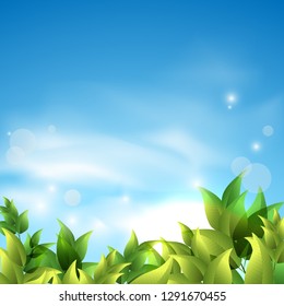 Summer background of green leaves branches against the sky with sparkling light and clouds with your copy space. Vector illustration.