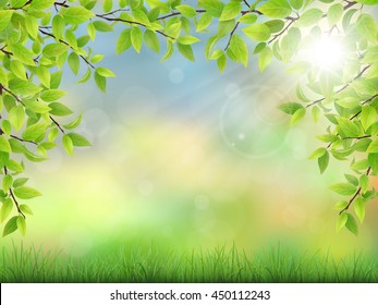Summer background with green leaves and grass. The sun's rays shine through the branches of trees. Realistic detailed vector illustration.
