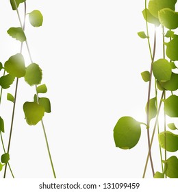  Summer  background with green leaves. Vector illustration