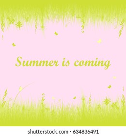 Summer background with herbs and butterflies. Flat design. Vector.