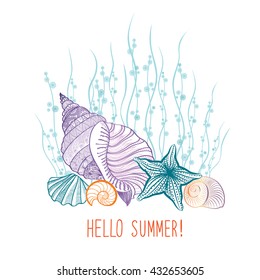 Summer background. Summer holidays cover with seashell sea star. Hello summer greeting card. Doodle vector illustration