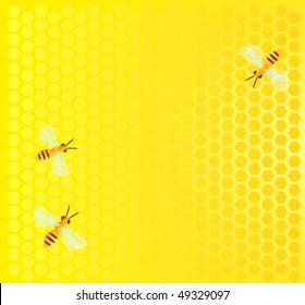 summer background with honeycomb and three bees