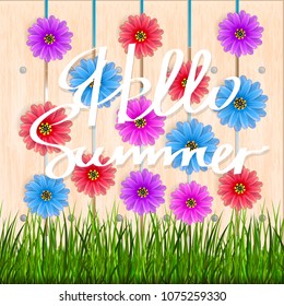 Summer background with inscription hello summer. Vector illustration