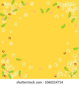 Summer background with leaves, ice and bubbles. Cocktail. Mint with ice.