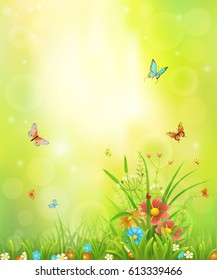 Fondo de verano con hierba de prado, flores e insectos