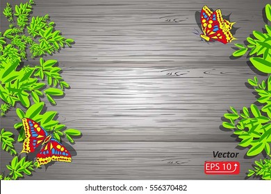 Summer background with old wooden plank, butterfly and green branch, leaves on gray wooden background vector illustration