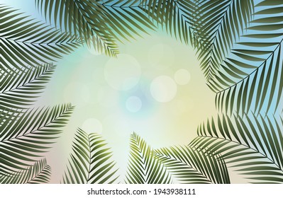 summer background with palm leaves. abstract summer banner. vector illustration. bottom view