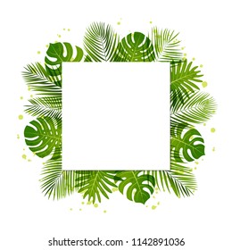 Summer background with palm leaves. Tropical plants. Vector floral background.