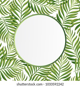 Summer background. Palm leaves vector illustration. Circle tropical frame.